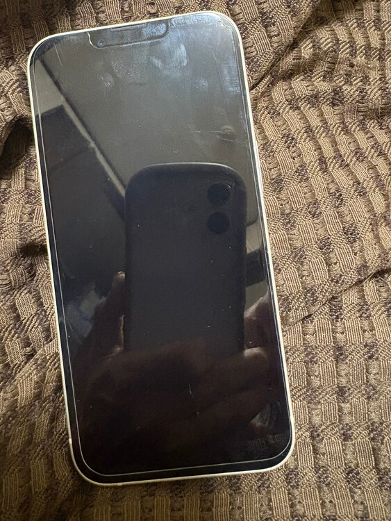 JGKFPN2R04（スマホ）の商品画像 - 査定依頼日：2025年1月27日 - 最高査定価格：45,000円