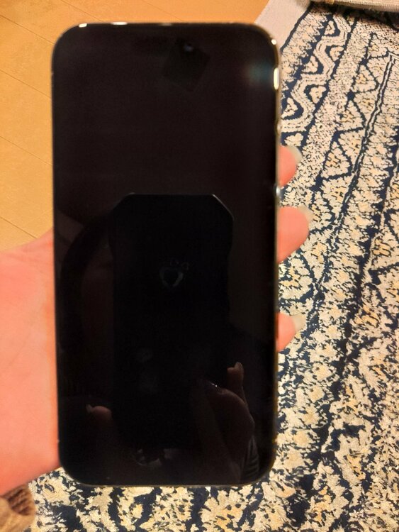 iPhone 15 Pro 128GB 楽天モバイル（スマホ）の商品画像 - 査定依頼日：2026年3月23日 - 最高査定価格：68,000円