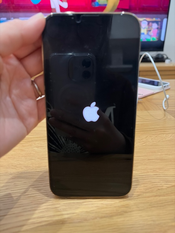 iPhone 13 Pro Max 128GB docomo（スマホ）の商品画像 - 査定依頼日：2026年3月8日 - 最高査定価格：59,000円