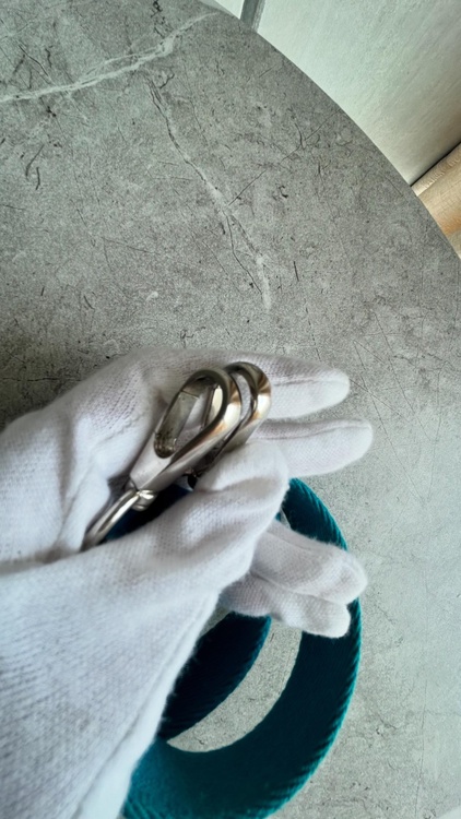 エブリンミニ（ブランドバッグ）の商品画像 - 査定依頼日：2026年1月16日 - 最高査定価格：330,000円