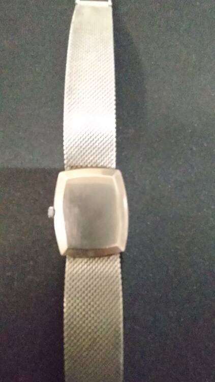 パテックフィリップ その他 （高級時計）の商品画像 - 査定依頼日：2025年4月18日 - 最高査定価格：800,000円