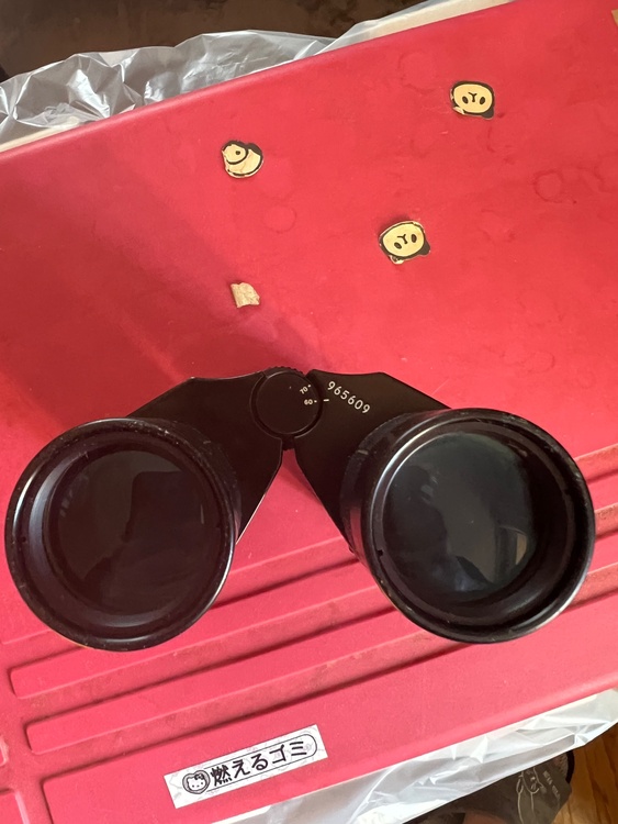 Nikon双眼鏡（カメラ）の商品画像 - 査定依頼日：2026年1月14日 - 最高査定価格：2,000円