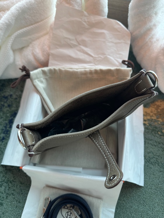 ミニエブリン tpm（ブランドバッグ）の商品画像 - 査定依頼日：2025年7月15日 - 最高査定価格：370,000円