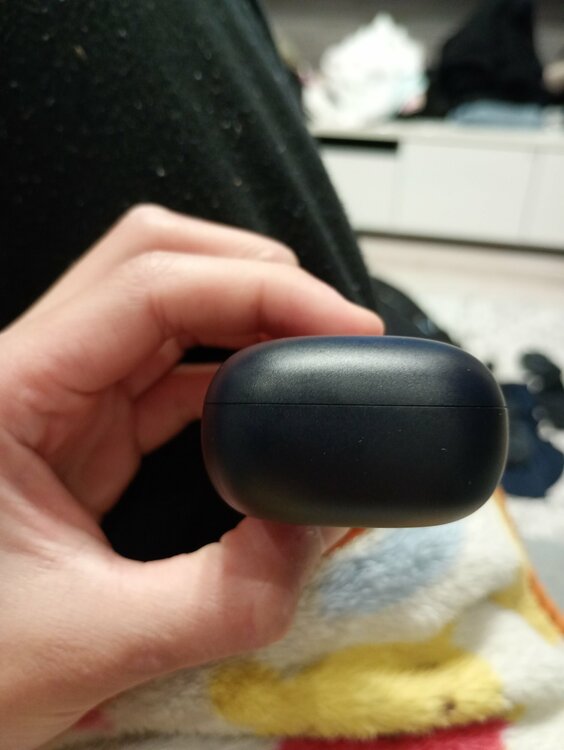 EarFun Air Pro 4（オーディオ・スピーカー）の商品画像 - 査定依頼日：2026年3月21日 - 最高査定価格：100,000円