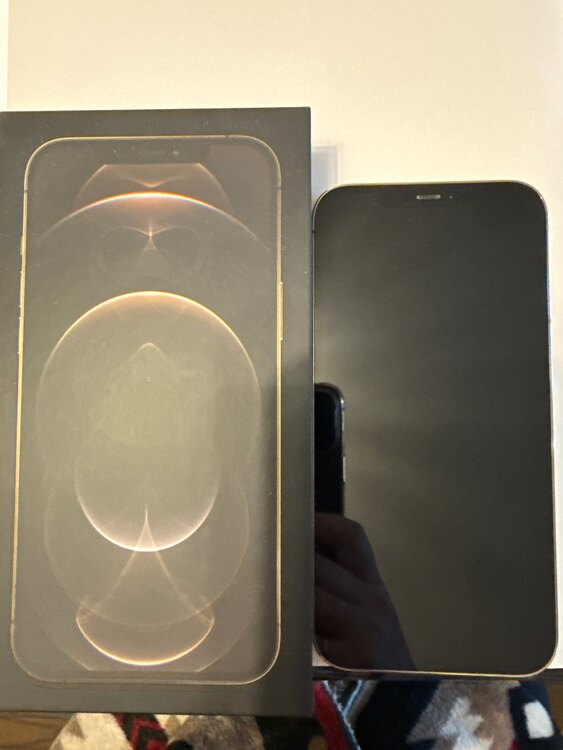 iPhone12 Pro Max 製造番号J826-08162-A（スマホ）の商品画像 - 査定依頼日：2025年3月16日 - 最高査定価格：46,000円