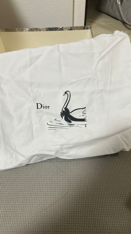 レディディオール（ブランドバッグ）の商品画像 - 査定依頼日：2025年2月16日 - 最高査定価格：170,000円