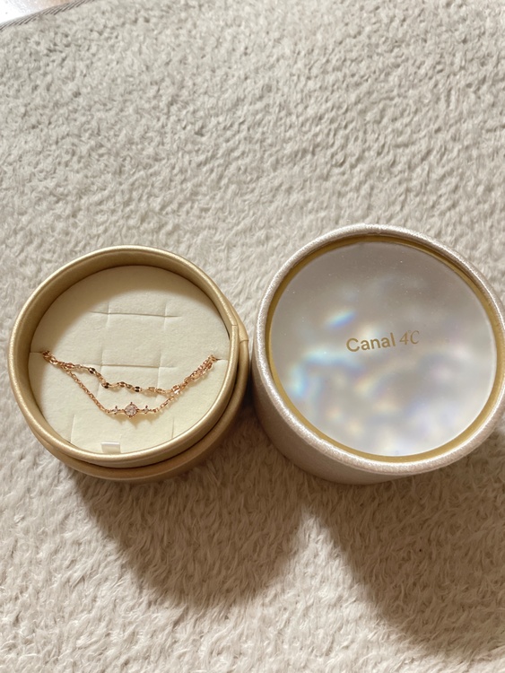 その他 その他 （ブランドバッグ）の商品画像 - 査定依頼日：2026年3月1日 - 最高査定価格：100,000円