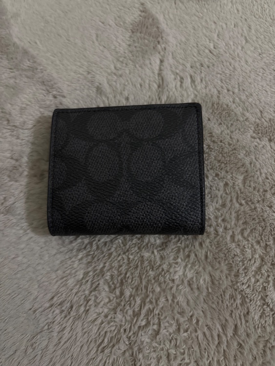 その他 コーチ （ブランドバッグ）の商品画像 - 査定依頼日：2026年3月19日 - 最高査定価格：2,000円