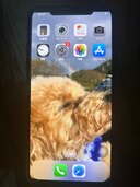 アイホンX（iPhoneX）の商品画像 - 美品 - 査定完了日：2025.01.14 - 最高査定価格：15,000円