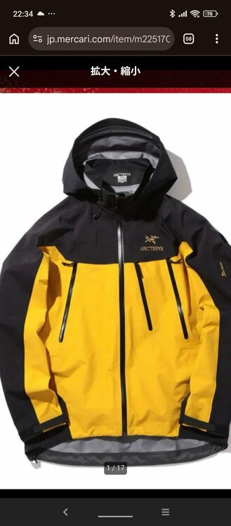 アークテリクス　ジャケット（古着・ファッション）の商品画像 - 査定依頼日：2026年2月24日 - 最高査定価格：25,000円