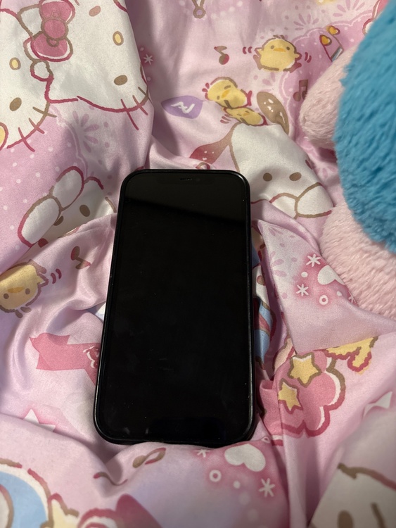 不明（スマホ）の商品画像 - 査定依頼日：2026年8月29日 - 最高査定価格：19,000円