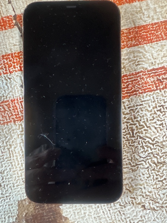 iPhone iPhone 12 Pro Max 256GB au（スマホ）の商品画像 - 査定依頼日：2026年10月8日 - 最高査定価格：23,000円