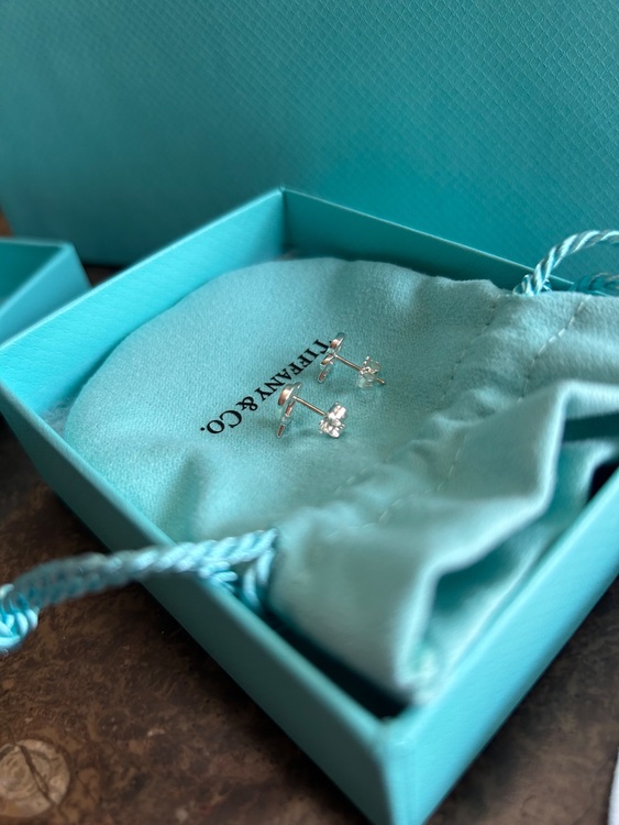 ラビングハート ピアス（金・貴金属）の商品画像 - 査定依頼日：2025年10月3日 - 最高査定価格：10,000円