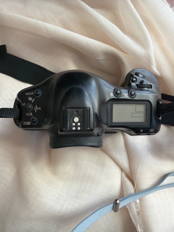 EOS1v（カメラ）の商品画像 - 査定依頼日：2025年12月10日 - 最高査定価格：70,000円