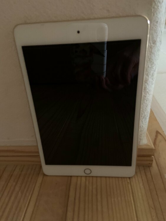 iPad mini4（PC・タブレット）の商品画像 - 査定依頼日：2026年9月30日 - 最高査定価格：3,000円