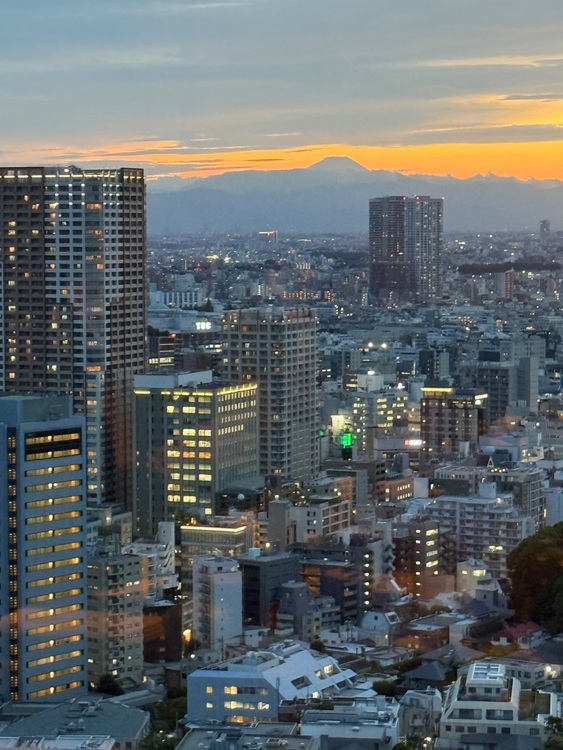 セイコー グランドセイコー （高級時計）の商品画像 - 査定依頼日：2025年9月20日 - 最高査定価格：260,000円