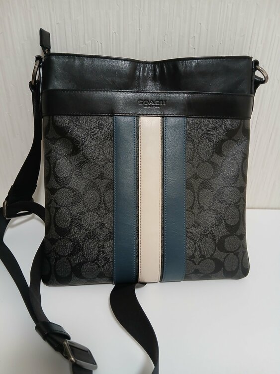 その他 コーチ （ブランドバッグ）の商品画像 - 査定依頼日：2026年4月10日 - 最高査定価格：3,500円