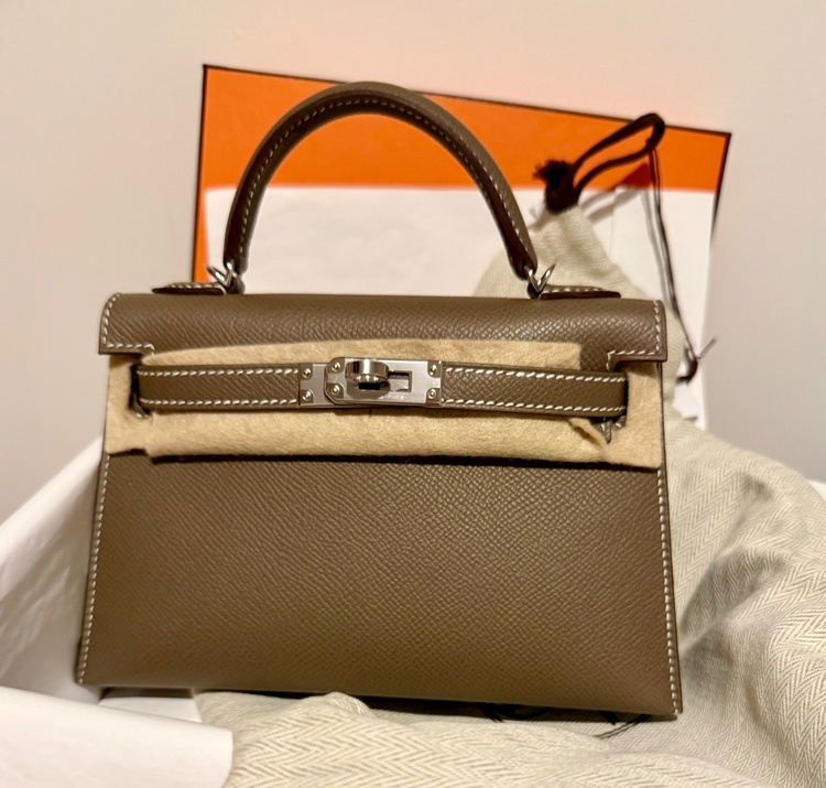 ミニセリエ（ブランドバッグ）の商品画像 - 査定依頼日：2026年1月12日 - 最高査定価格：3,850,000円