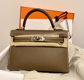 ミニセリエ（ブランドバッグ）の商品画像 - 査定依頼日：2026年1月12日 - 最高査定価格：3,850,000円