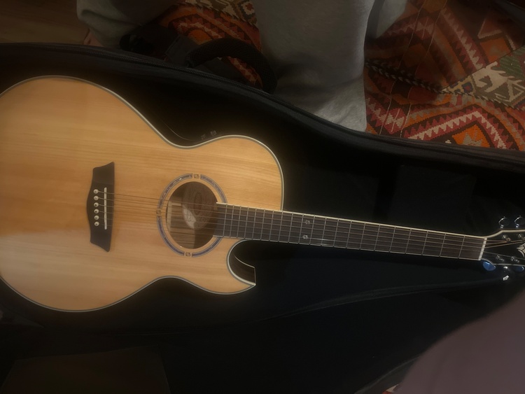 washburn（ピアノ・楽器・PA機材）の商品画像 - 査定依頼日：2026年4月17日 - 最高査定価格：20,000円