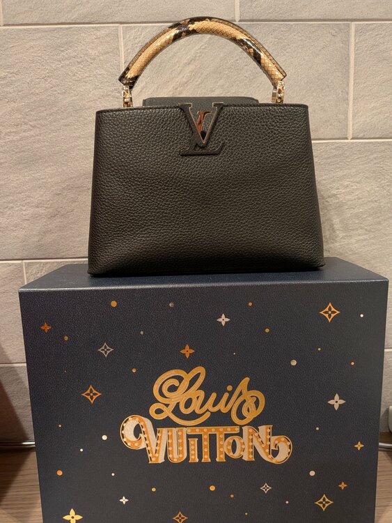 ルイヴィトン ルイヴィトン(その他) （ブランドバッグ）の商品画像 - 査定依頼日：2025年12月16日 - 最高査定価格：400,000円