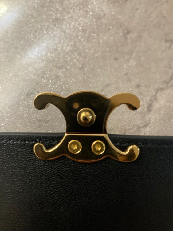 セリーヌ  （ブランドバッグ）の商品画像 - 査定依頼日：2025年1月28日 - 最高査定価格：32,000円