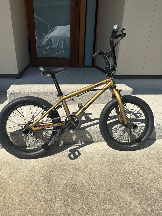 モーテルワークス　BMX  DELIGHT-E　　16インチ （自転車）の商品画像 - 査定依頼日：2025年7月30日 - 最高査定価格：6,000円