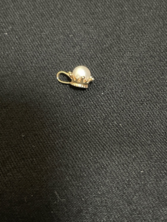 アガットネックレスチャーム（金・貴金属）の商品画像 - 査定依頼日：2026年3月5日 - 最高査定価格：15,000円