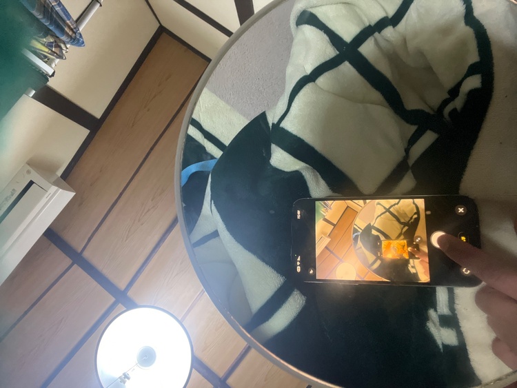 iPhone 13 Pro Max 256GB SIMフリー（スマホ）の商品画像 - 査定依頼日：2026年4月1日 - 最高査定価格：61,000円