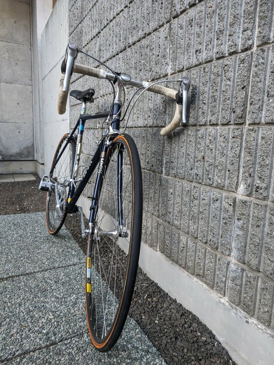 LOOKKG166（自転車）の商品画像 - 査定依頼日：2026年4月1日 - 最高査定価格：39,000円