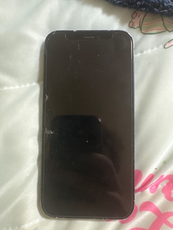 iPhone iPhone 12 mini 256GB au（スマホ）の商品画像 - 査定依頼日：2026年7月18日 - 最高査定価格：10,000円