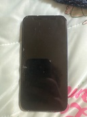 iPhone iPhone 12 mini 256GB au（スマホ）の商品画像 - 査定依頼日：2026年7月18日 - 最高査定価格：10,000円