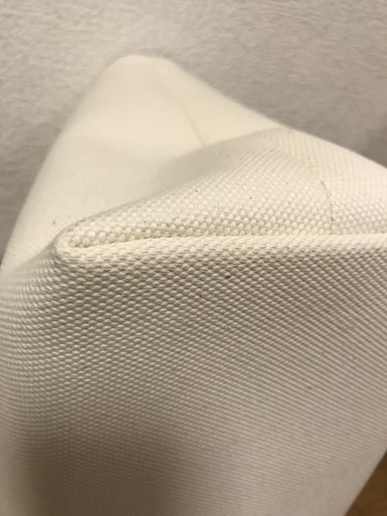 セリーヌ  ホリゾンタル　カバ　キャンバストートバッグ（ブランドバッグ）の商品画像 - 査定依頼日：2020年8月2日 - 最高査定価格：100,000円