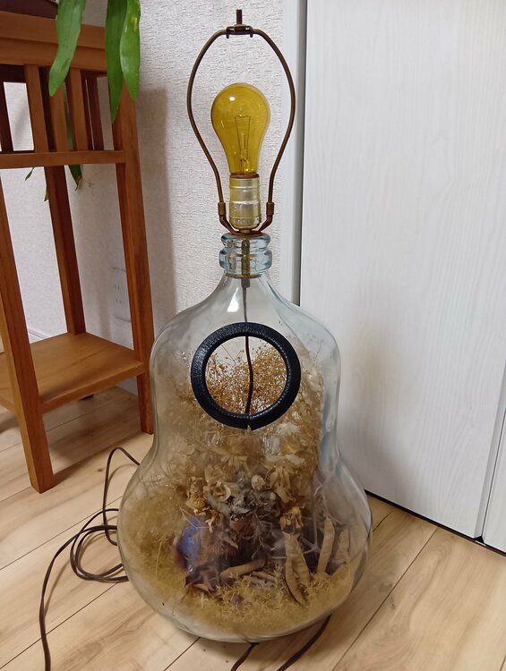 照明 LEVITON製ソケット（美術品・骨董品）の商品画像 - 査定依頼日：2026年8月21日 - 最高査定価格：100,000円