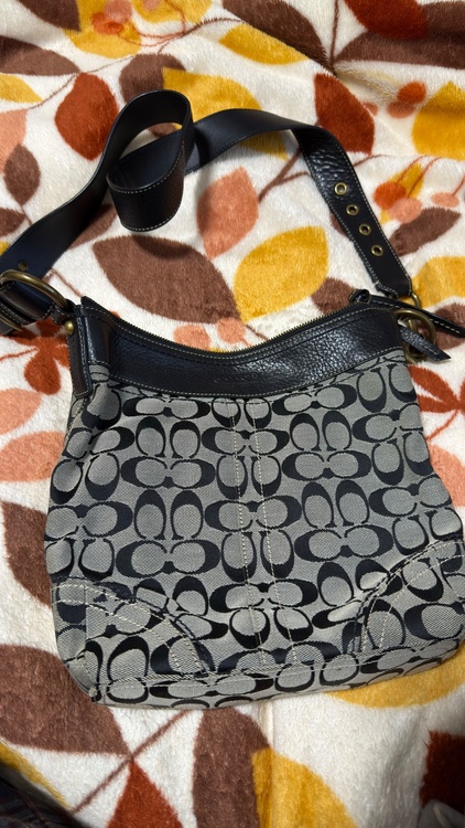 ショルダーバッグ（ブランドバッグ）の商品画像 - 査定依頼日：2026年1月31日 - 最高査定価格：3,000円