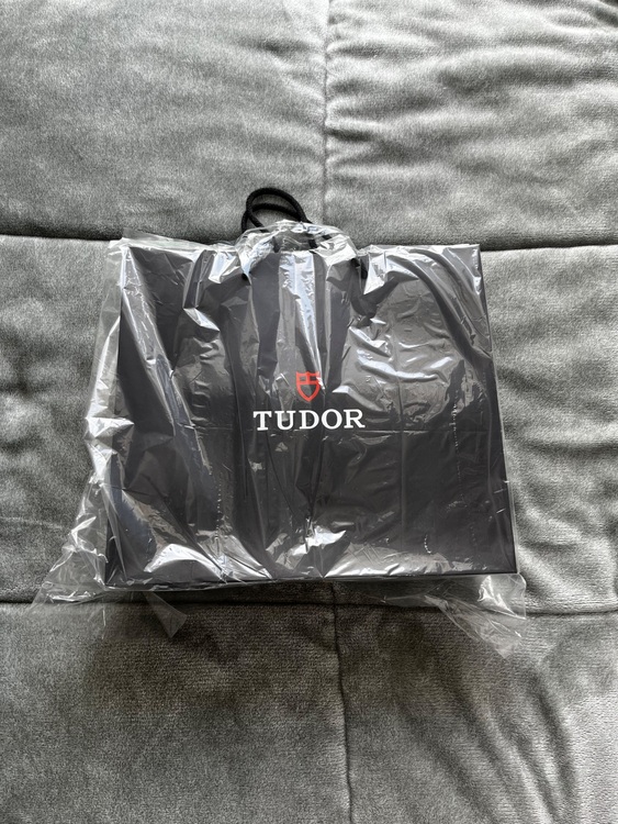 チューダー ブラックベイ （高級時計）の商品画像 - 査定依頼日：2025年6月29日 - 最高査定価格：440,000円