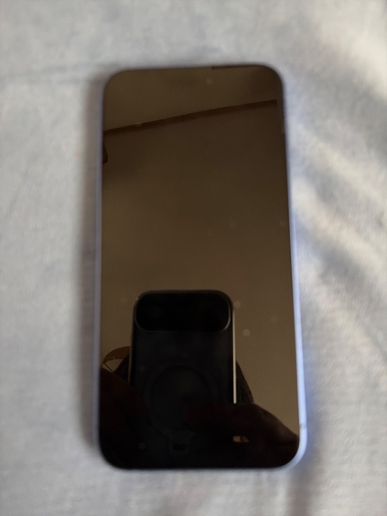 iPhone iPhone 16 Plus 512GB Softbank（スマホ）の商品画像 - 査定依頼日：2026年8月16日 - 最高査定価格：105,500円