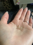 ピアス（金・貴金属）の商品画像 - 査定依頼日：2026年4月15日 - 最高査定価格：10,000円