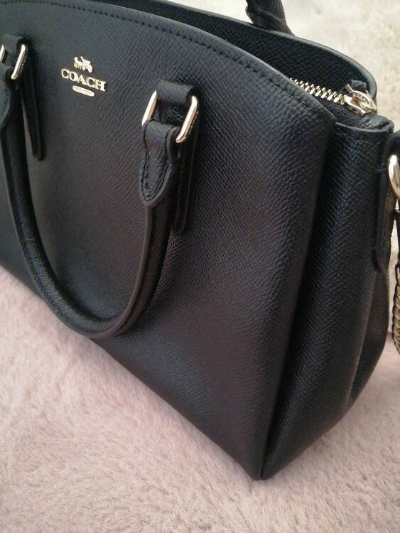 その他 コーチ （ブランドバッグ）の商品画像 - 査定依頼日：2025年6月14日 - 最高査定価格：700円