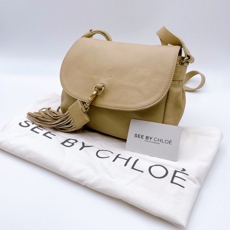 シーバイクロエ　バッグ（ブランドバッグ）の商品画像 - 査定依頼日：2026年2月16日 - 最高査定価格：1,000円