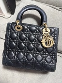 ディオール その他 （ブランドバッグ）の商品画像 - 査定依頼日：2025年12月21日 - 最高査定価格：310,000円