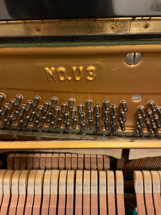 1002521（ピアノ・楽器・PA機材）の商品画像 - 査定依頼日：2026年1月17日 - 最高査定価格：20,000円