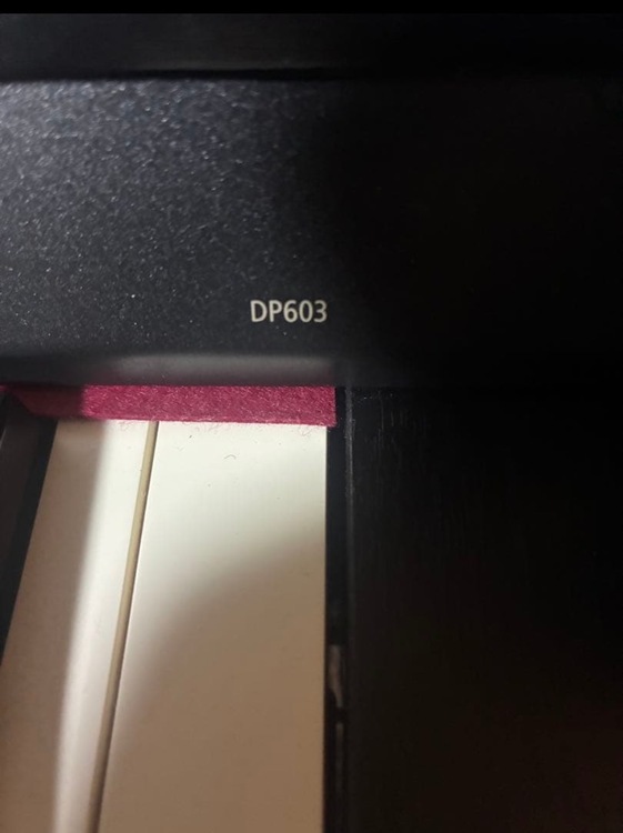 DP603（ピアノ・楽器・PA機材）の商品画像 - 査定依頼日：2025年12月29日 - 最高査定価格：10,000円