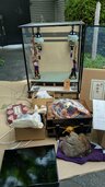 5月人形　寿楽斎明玉作（美術品・骨董品）の商品画像 - 査定依頼日：2026年4月26日 - 最高査定価格：3,000円