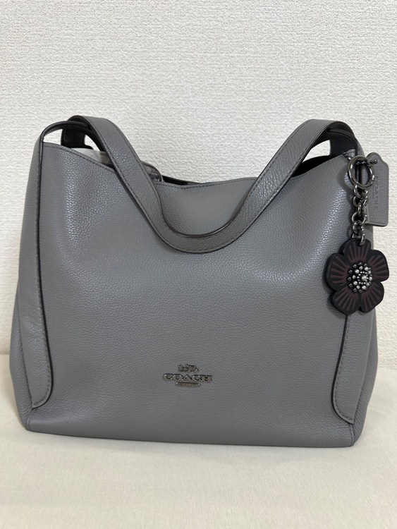 coachバック（ブランドバッグ）の商品画像 - 査定依頼日：2026年6月5日 - 最高査定価格：3,000円