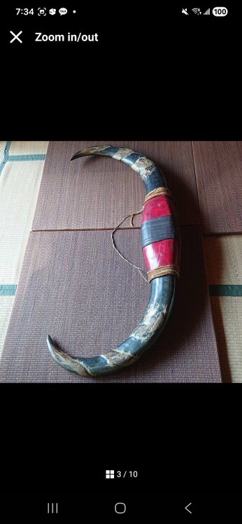 水牛の角（美術品・骨董品）の商品画像 - 査定依頼日：2026年3月26日 - 最高査定価格：3,000円