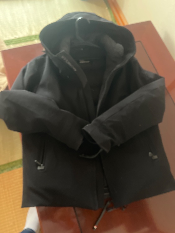 ダウンジャケット（古着・ファッション）の商品画像 - 査定依頼日：2025年12月26日 - 最高査定価格：50,000円