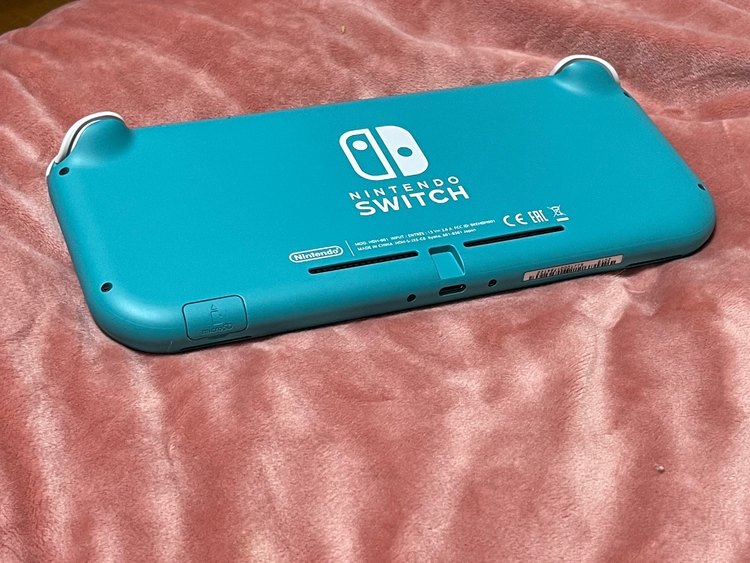 Nintendo Switch lite（ゲーム機本体・ゲームソフト）の商品画像 - 査定依頼日：2023年5月10日 - 最高査定価格：7,500円