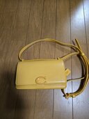 ショルダーバッグ（ブランドバッグ）の商品画像 - 査定依頼日：2025年12月14日 - 最高査定価格：3,000円