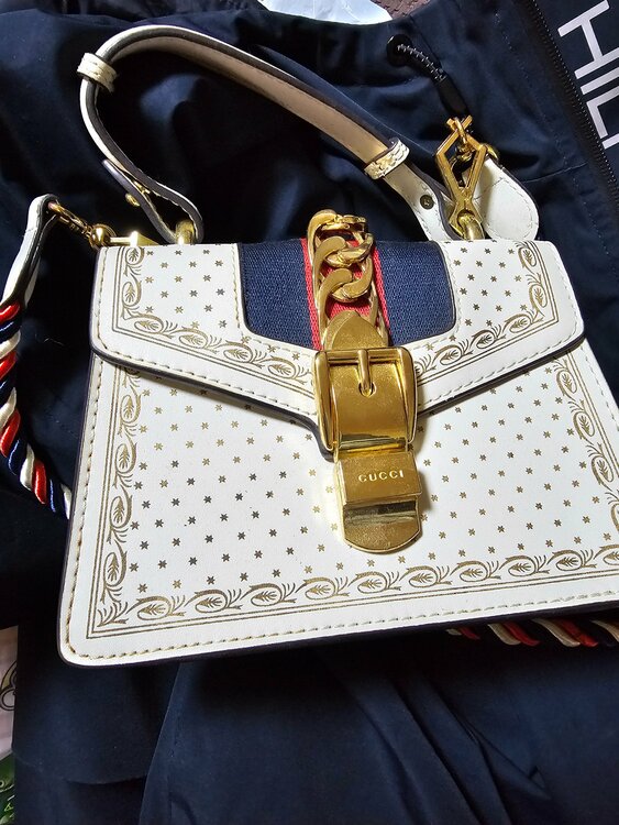 グッチ  （ブランドバッグ）の商品画像 - 査定依頼日：2026年3月16日 - 最高査定価格：88,000円